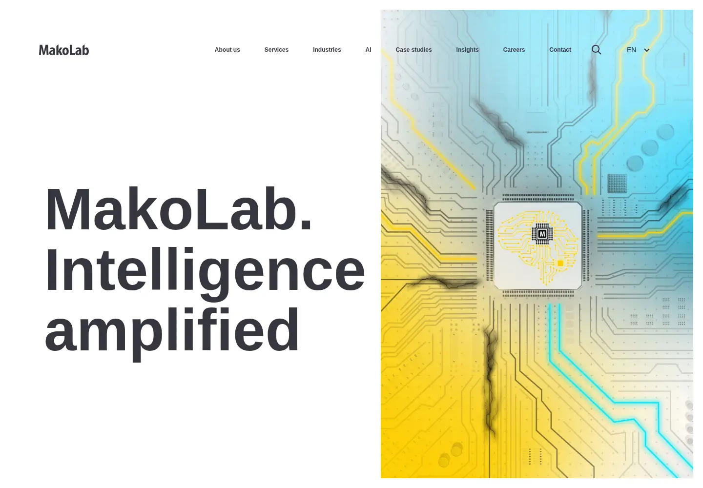 Captured homepage of makolab.com in the current scan