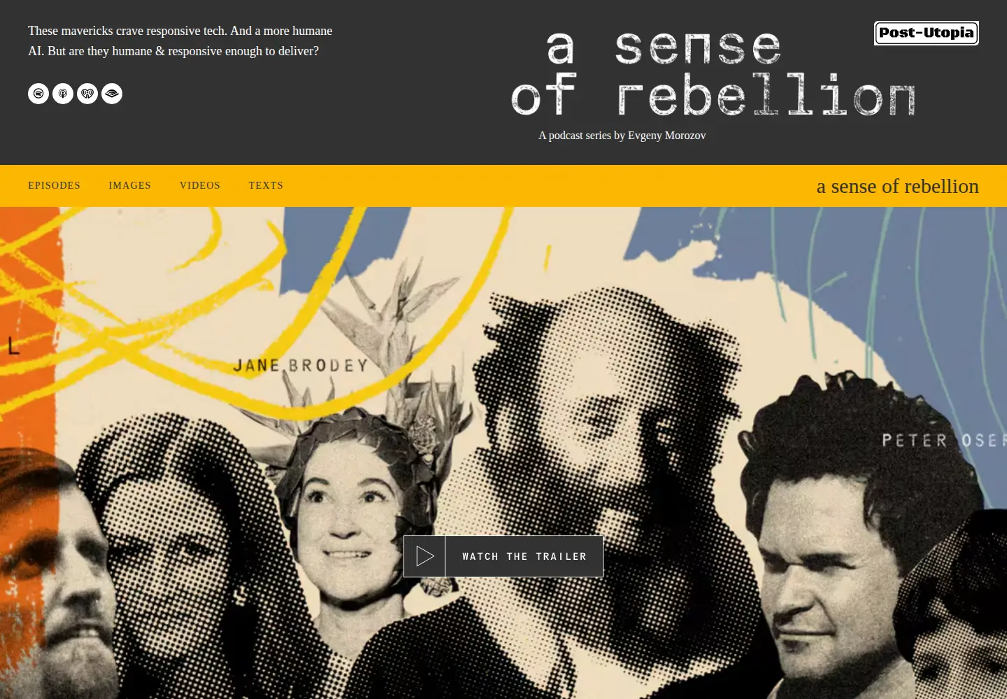 Captured homepage of sense-of-rebellion.com in the current scan