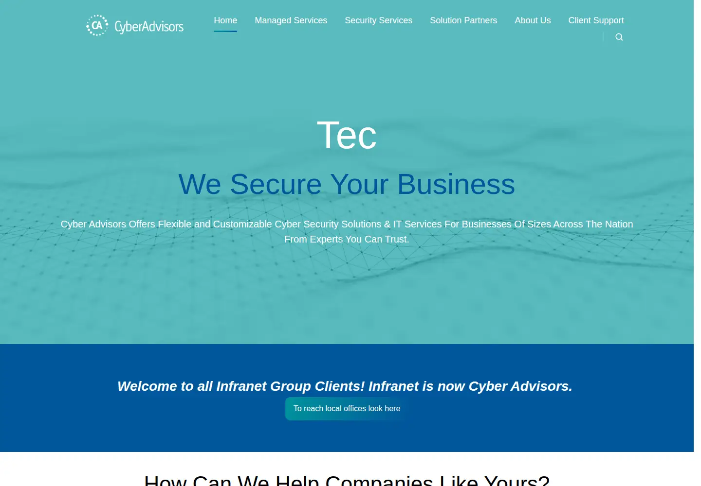 Captured homepage of cyberadvisors.com in the current scan