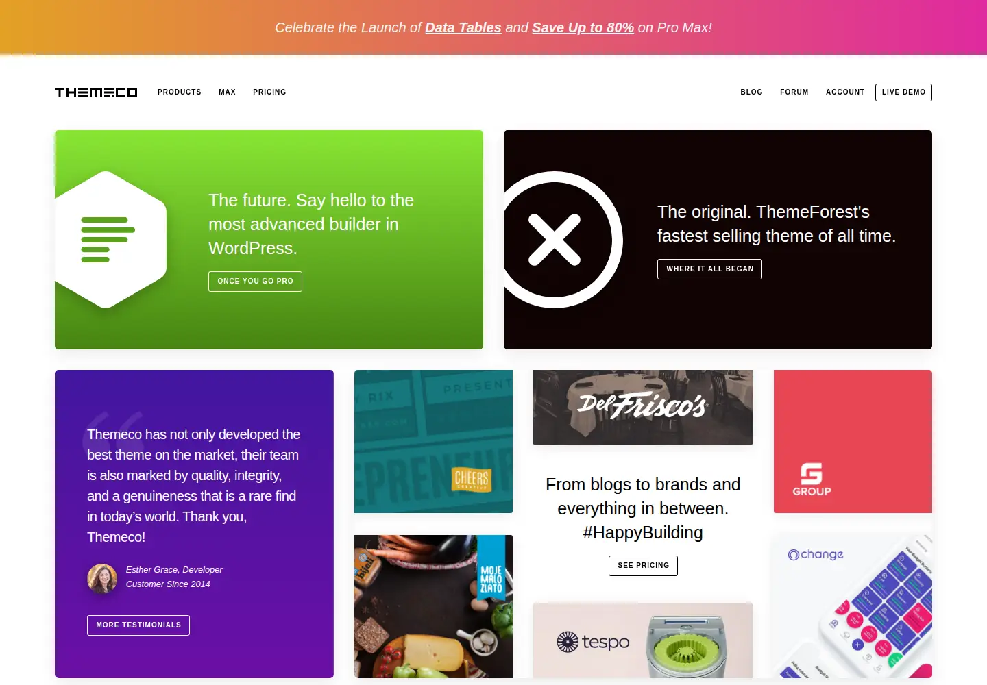 Screenshot of theme.co