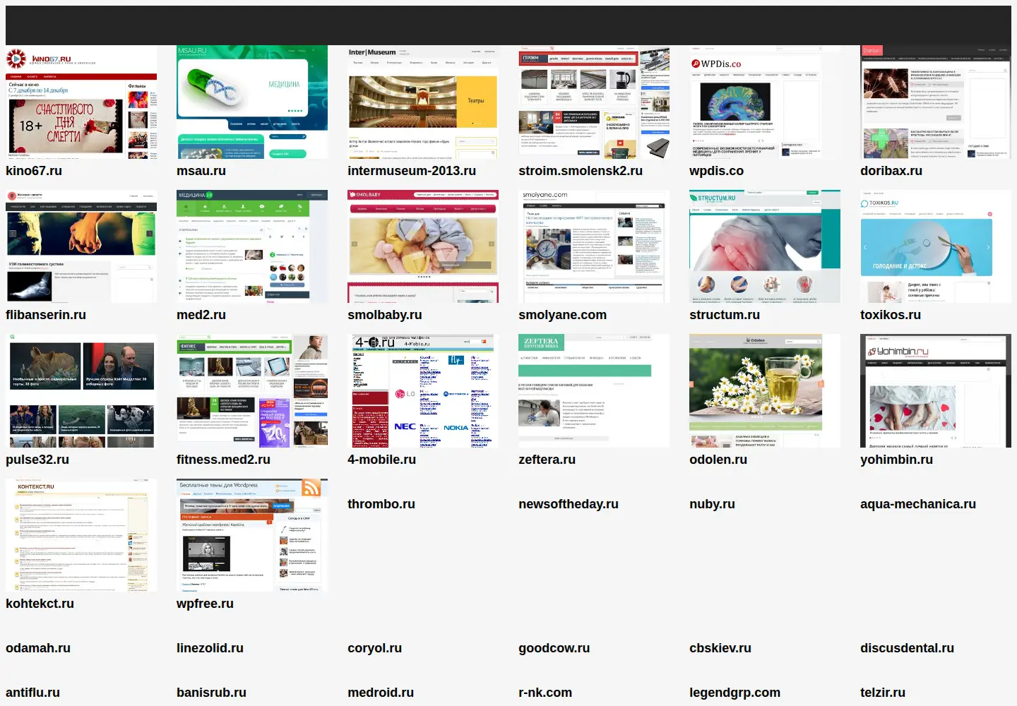 Captured homepage of smthemes.com in the current scan