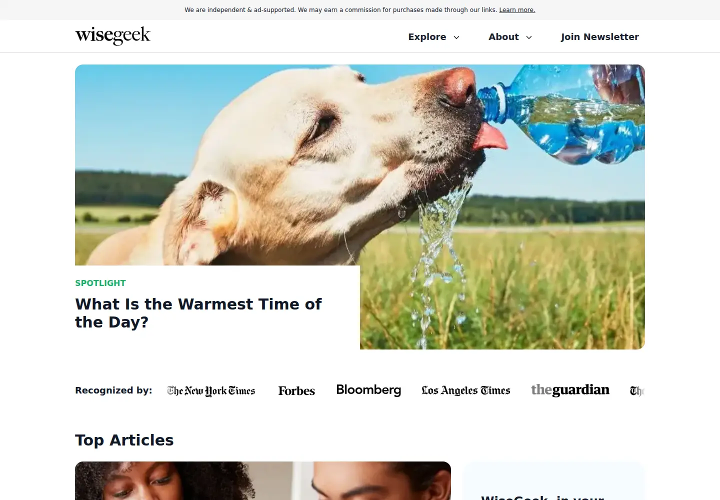 Screenshot of wisegeek.org