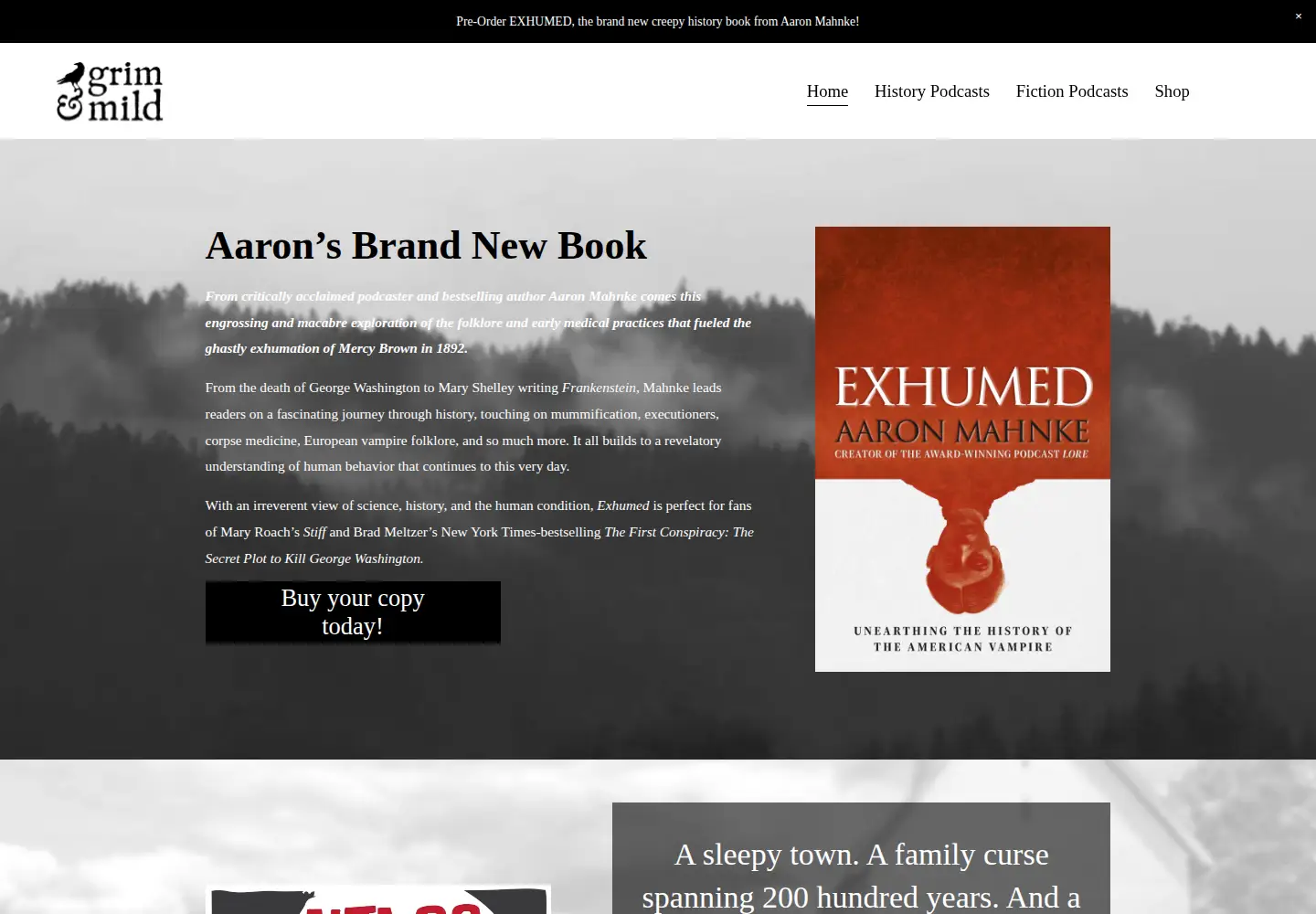 Captured homepage of grimandmild.com in the current scan