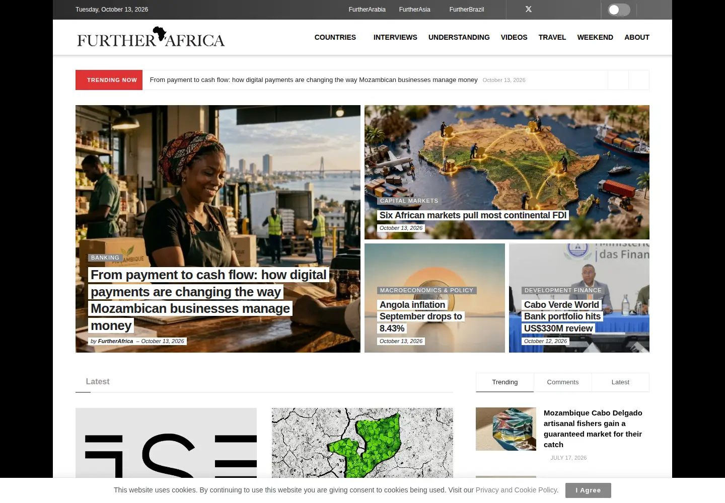 Captured homepage of furtherafrica.com in the current scan