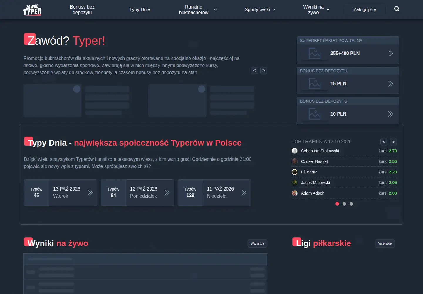 Screenshot of zawodtyper.pl