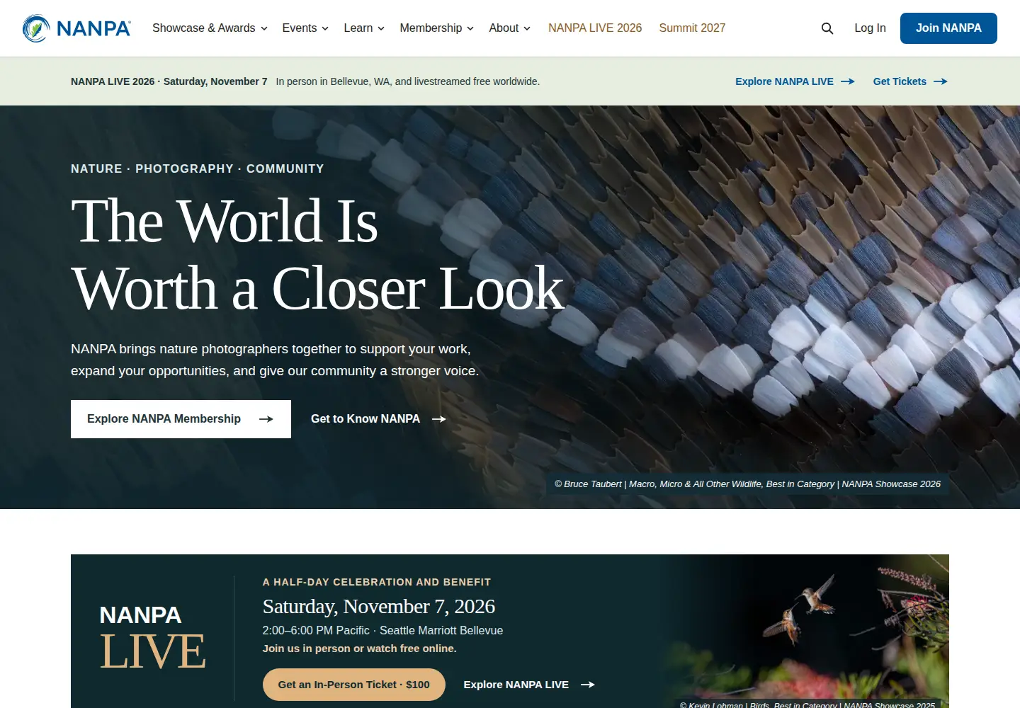 Screenshot of nanpa.org