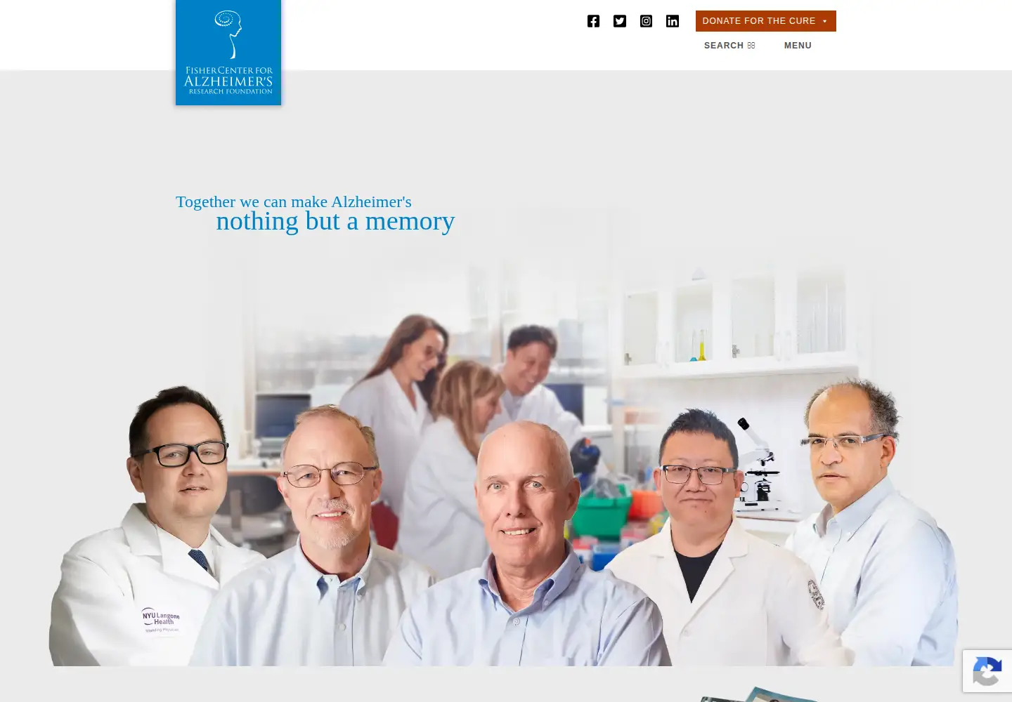 Captured homepage of alzinfo.org in the current scan