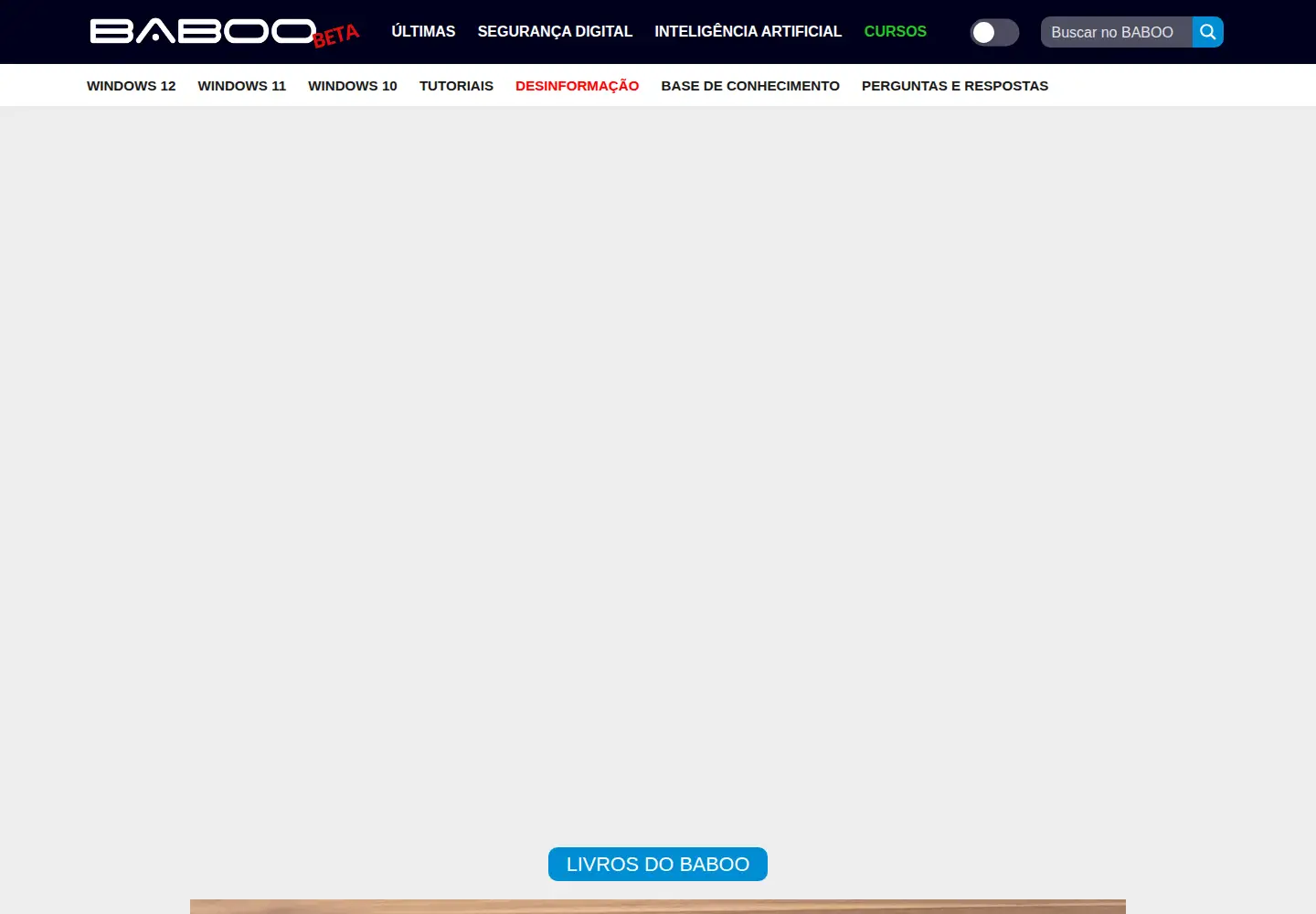 Captured homepage of baboo.com.br in the current scan