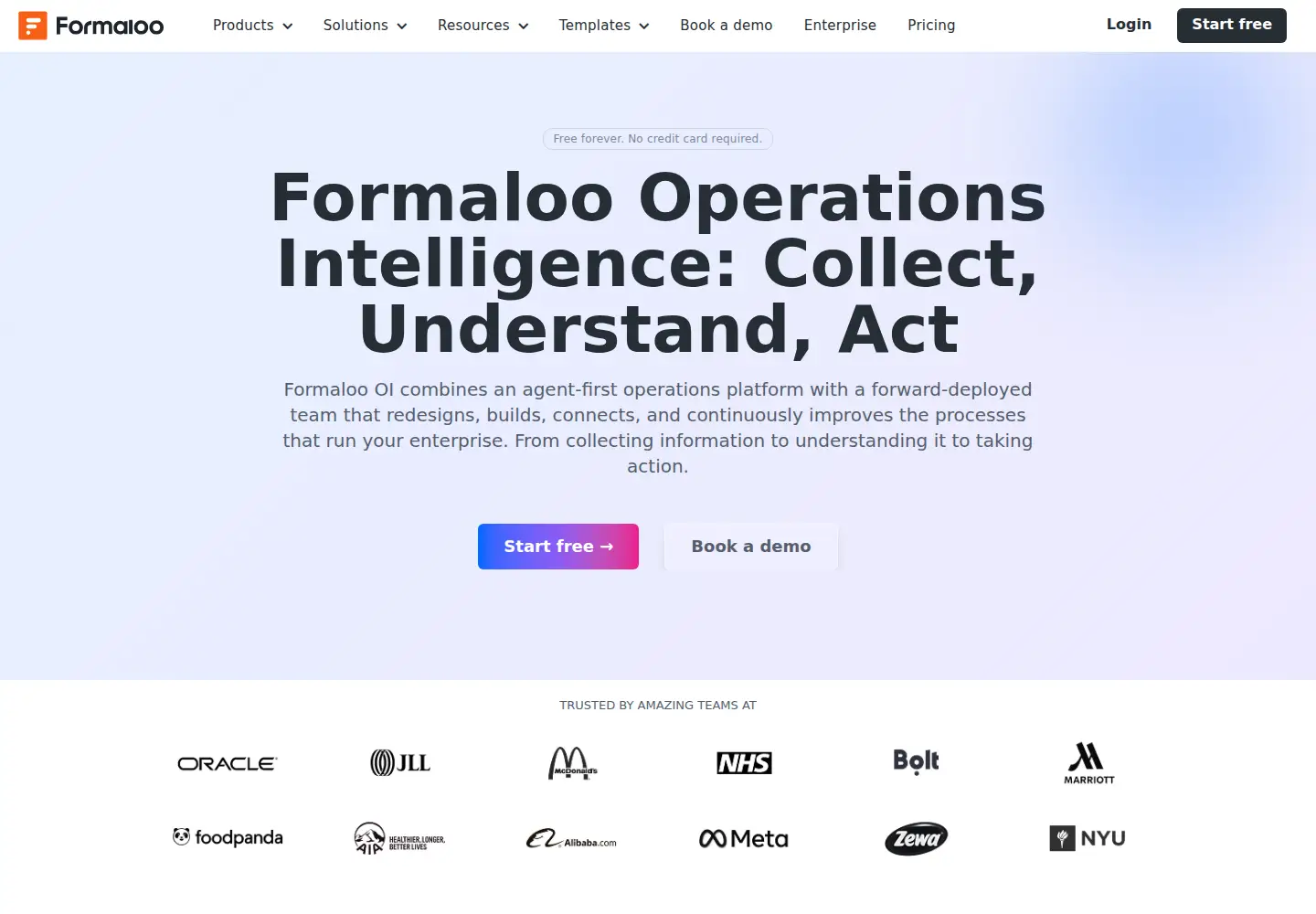 Captured homepage of formaloo.com in the current scan