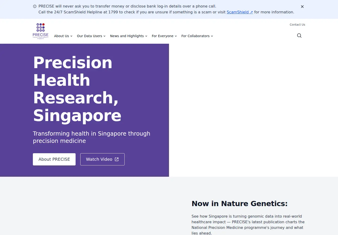 Captured homepage of npm.sg in the current scan