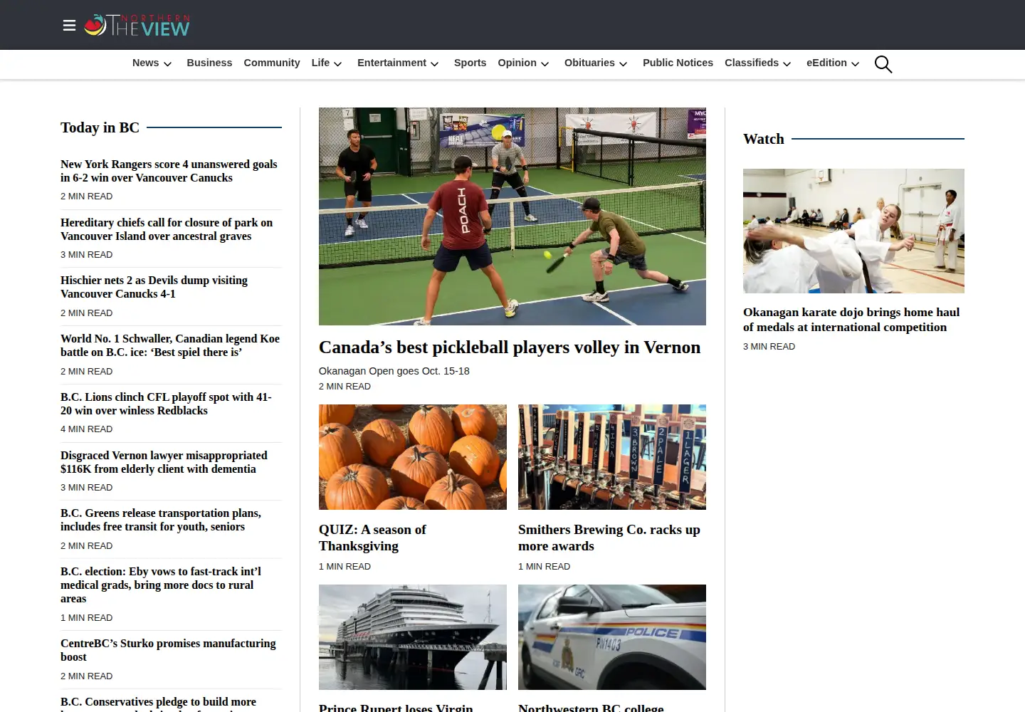 Captured homepage of thenorthernview.com in the current scan