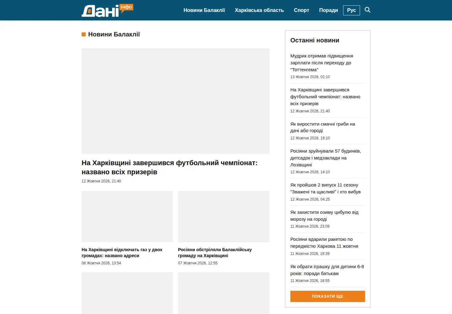 Screenshot of dani-info.com