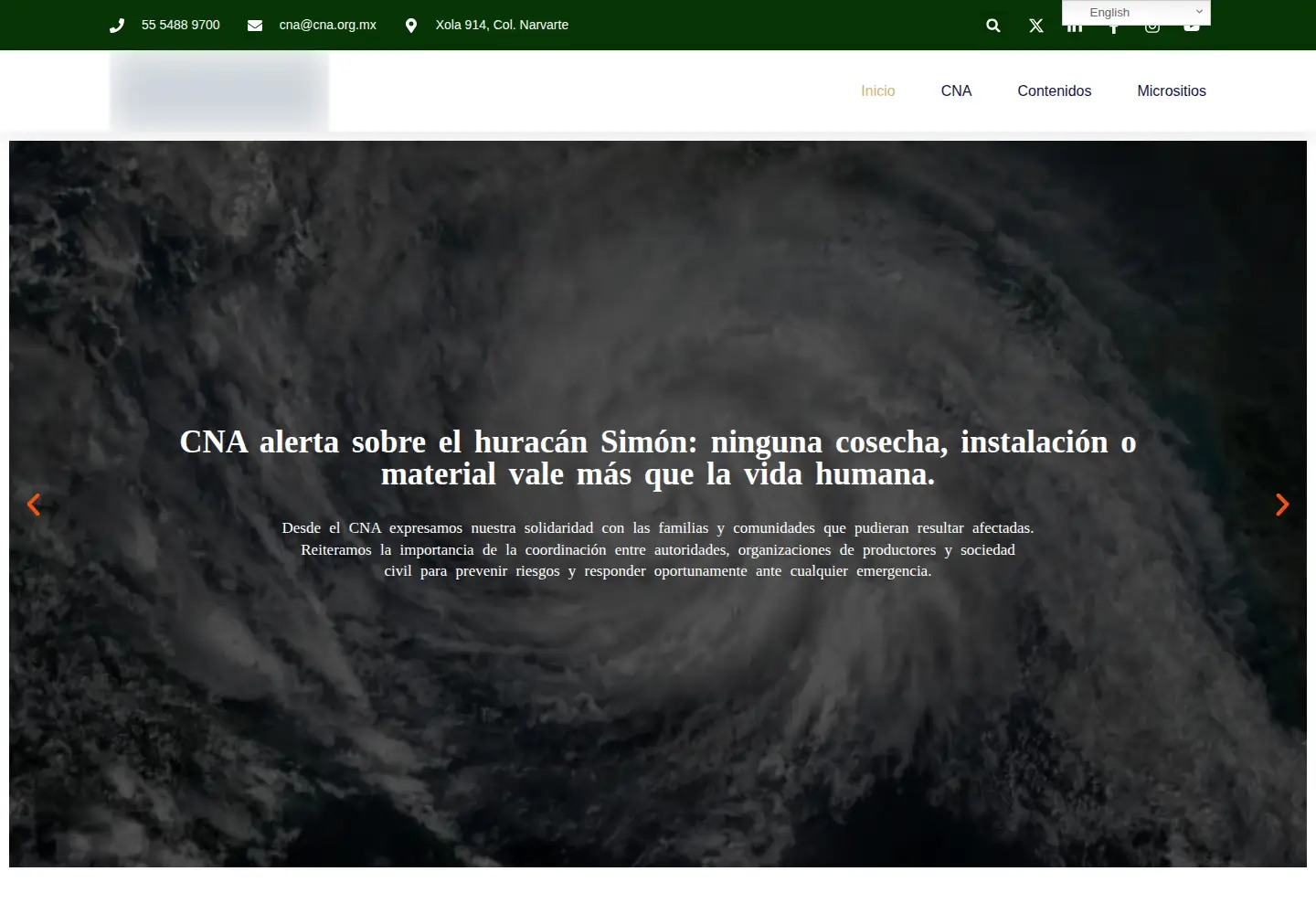 Screenshot of cna.org.mx