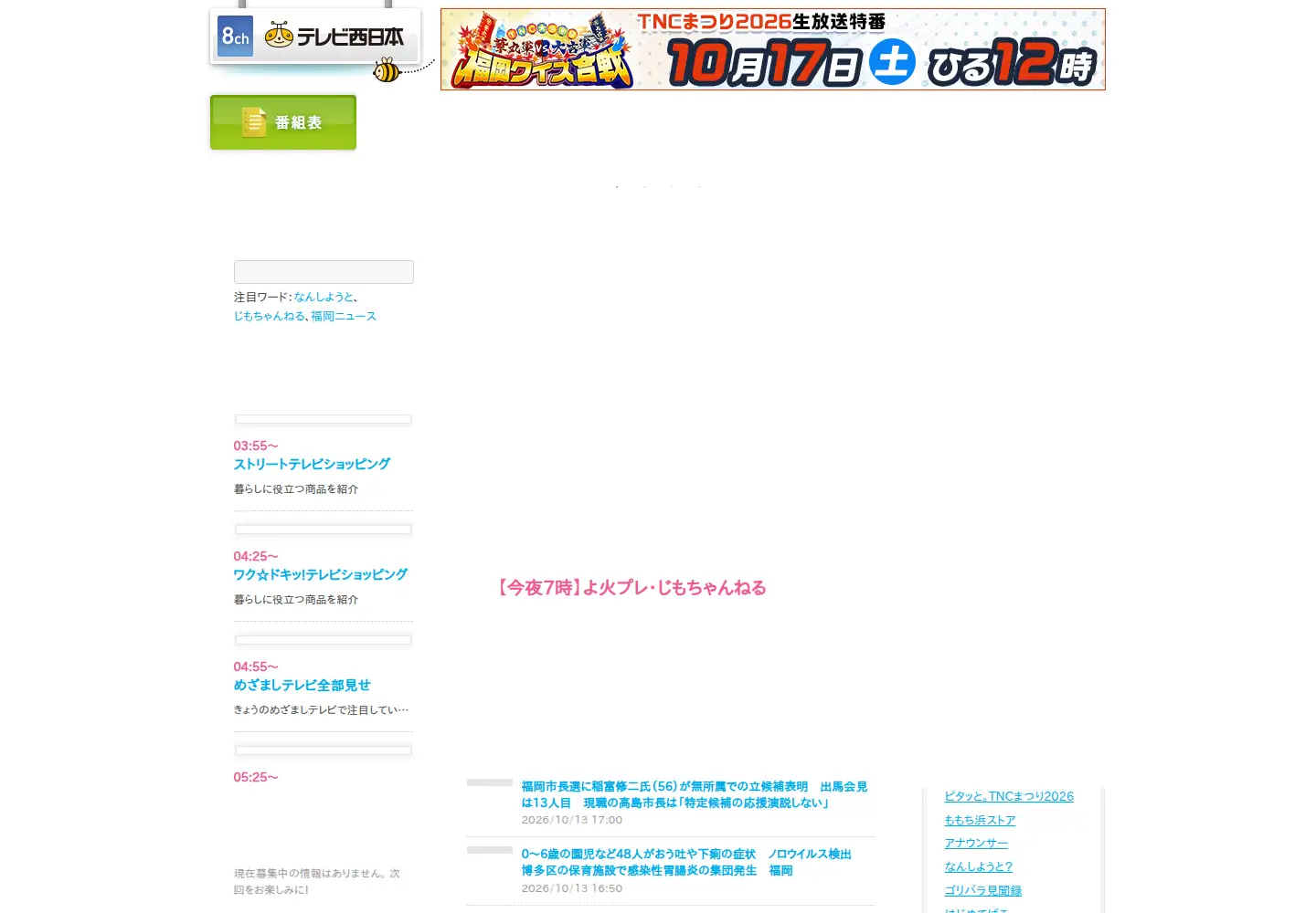 Captured homepage of tnc.co.jp in the current scan
