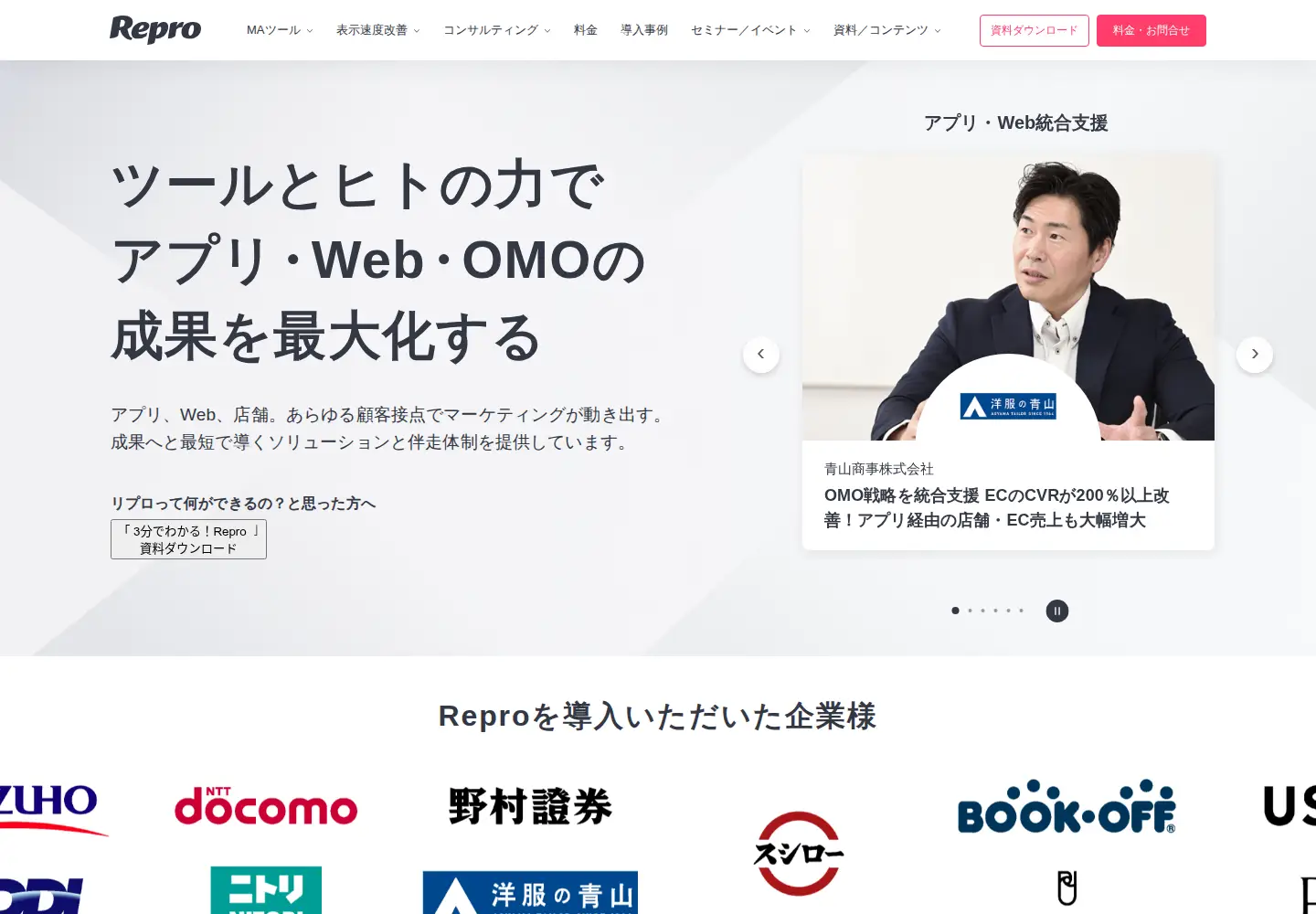 Captured homepage of repro.io in the current scan