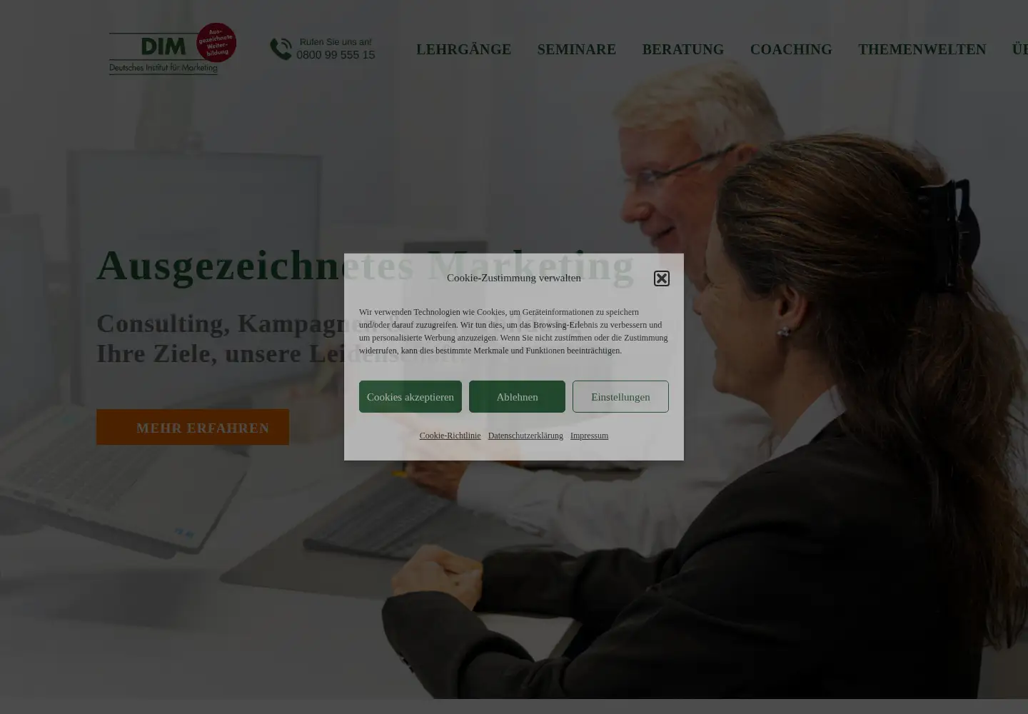 Captured homepage of marketinginstitut.biz in the current scan