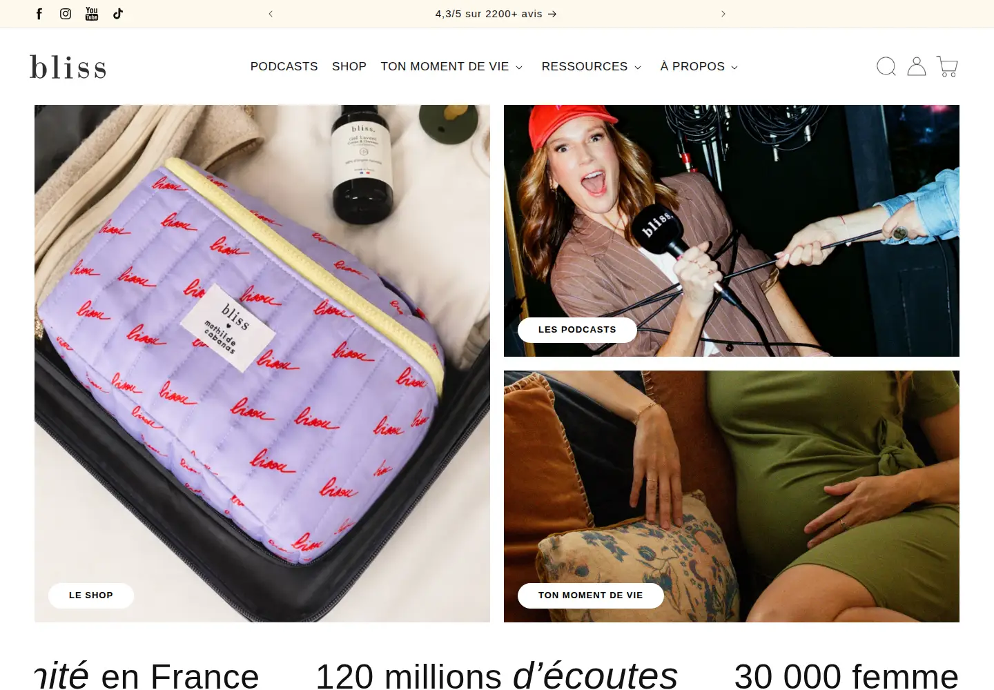 Screenshot of bliss-stories.fr
