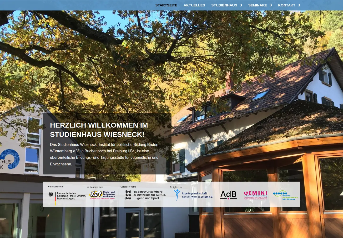 Captured homepage of wiesneck.de in the current scan