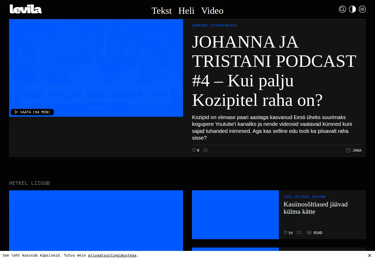 Captured homepage of levila.ee in the current scan