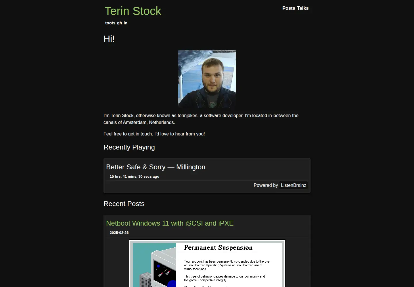 Screenshot of terinstock.com