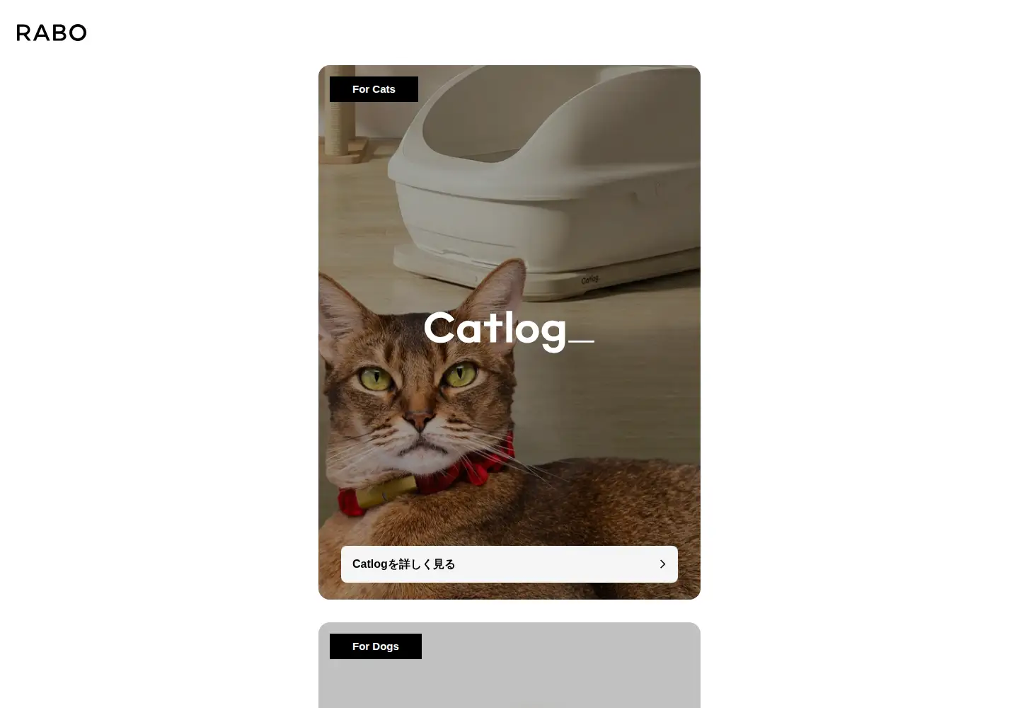 Screenshot of rabo.cat