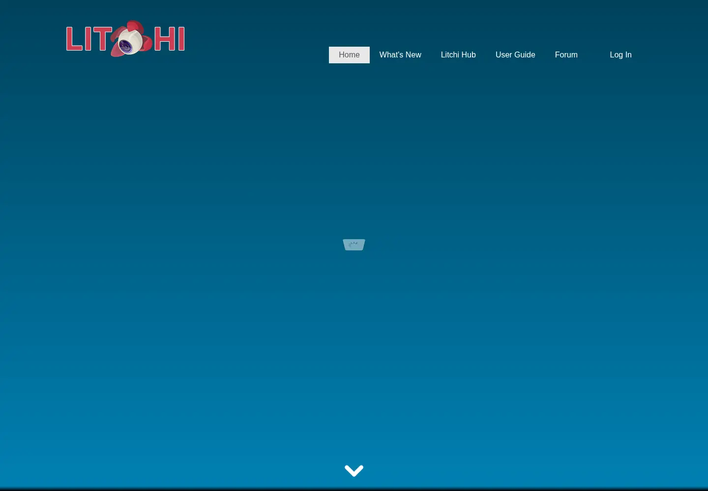 Screenshot of flylitchi.com