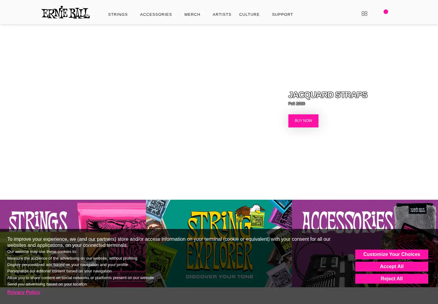 Screenshot of ernieball.com