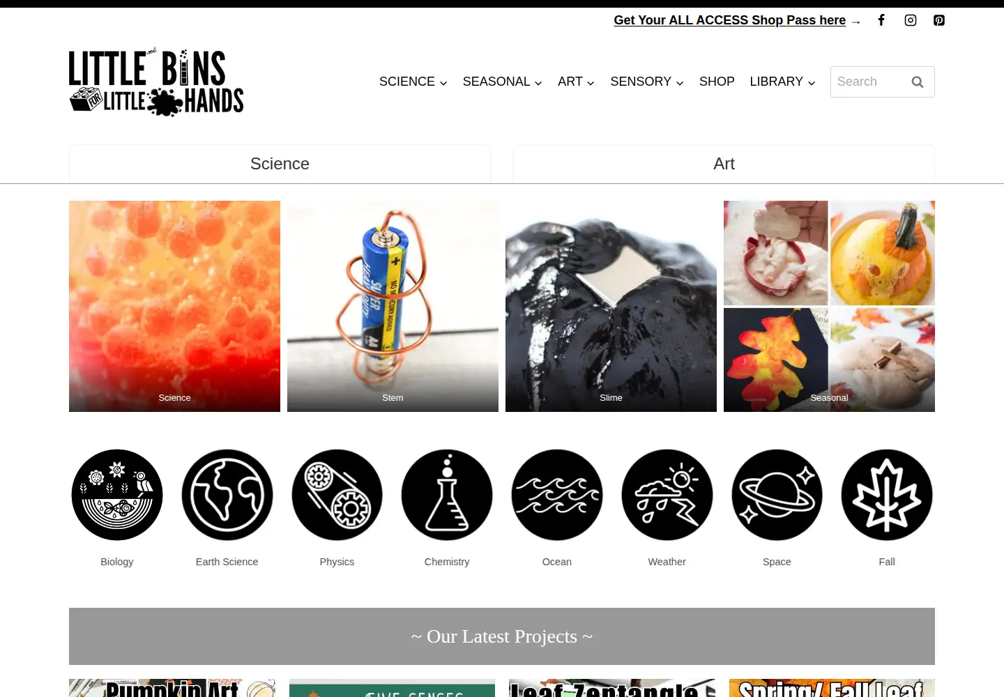 Captured homepage of littlebinsforlittlehands.com in the current scan