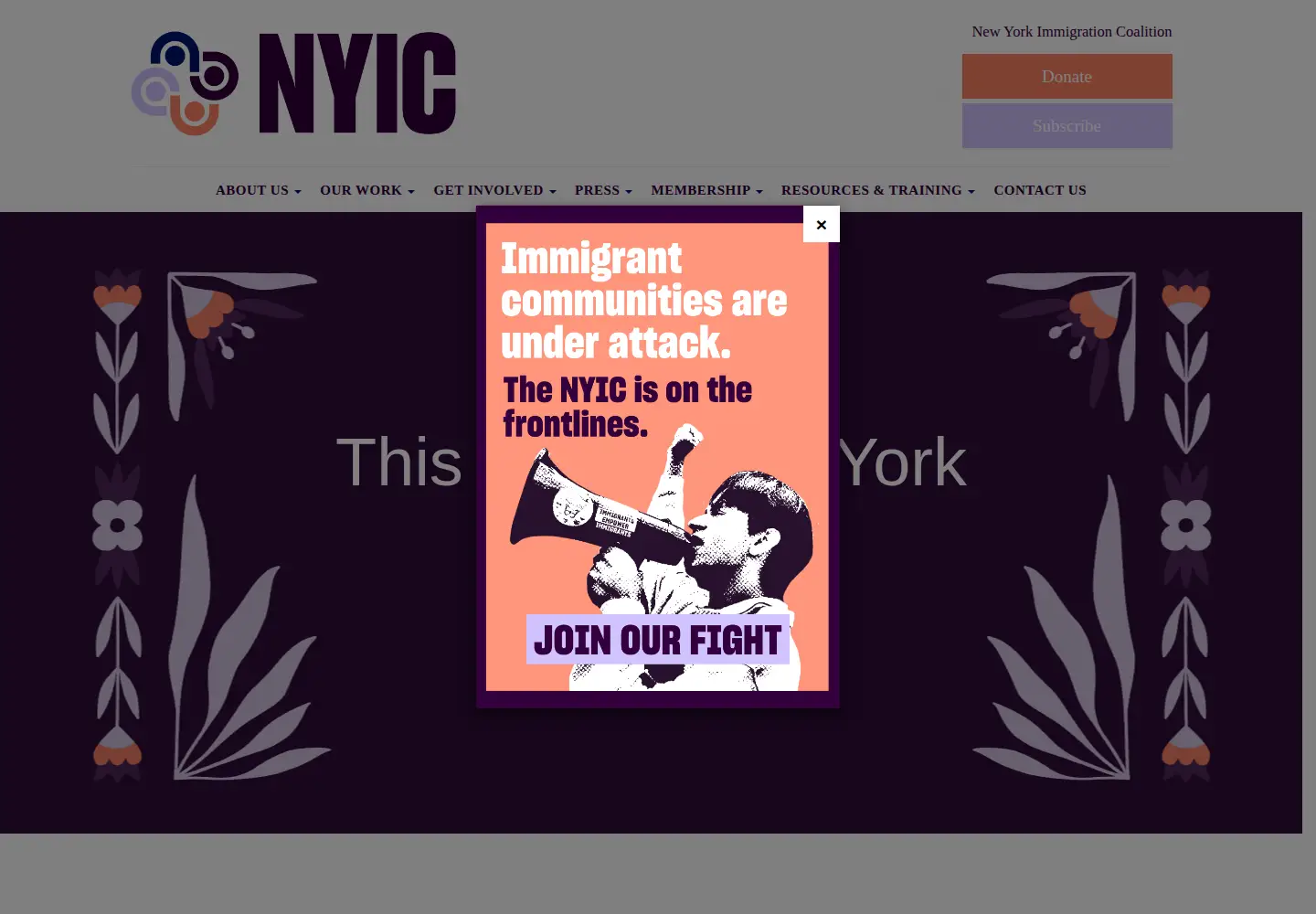Screenshot of nyic.org