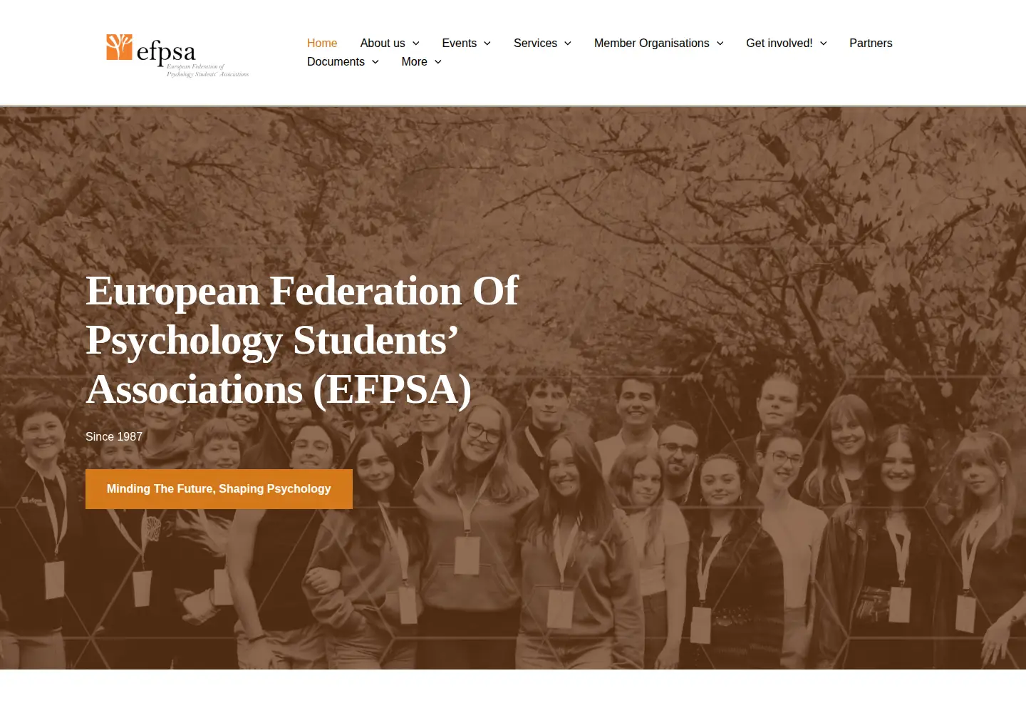 Screenshot of efpsa.org