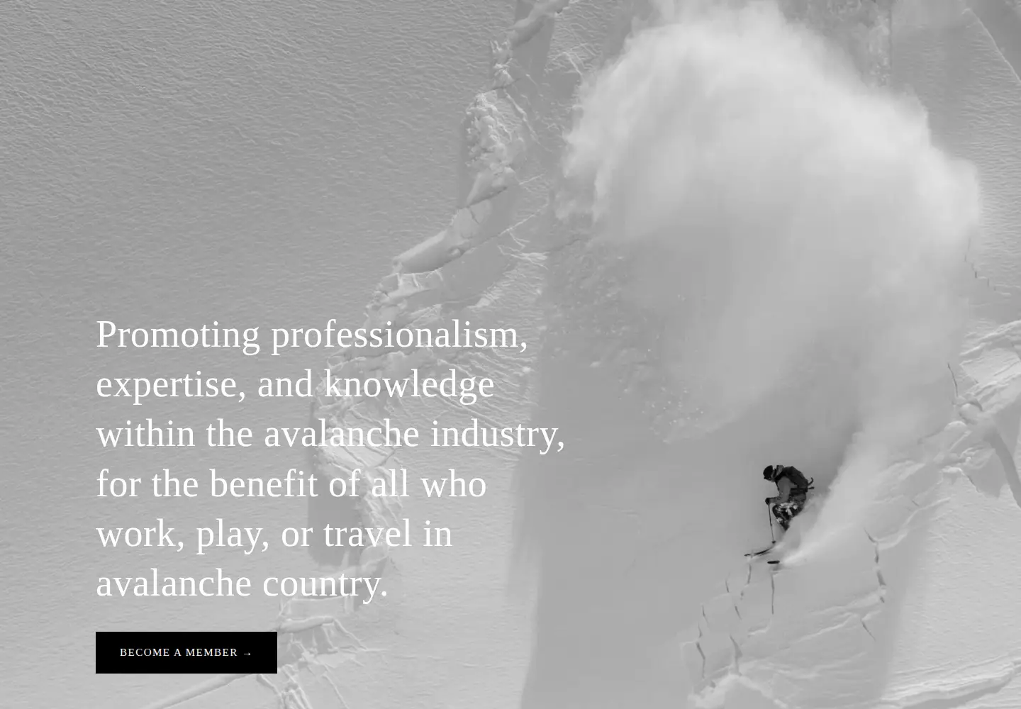 Screenshot of americanavalancheassociation.org