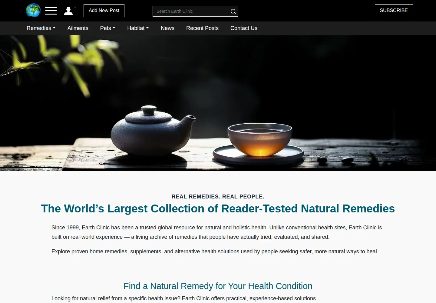 Screenshot of earthclinic.com
