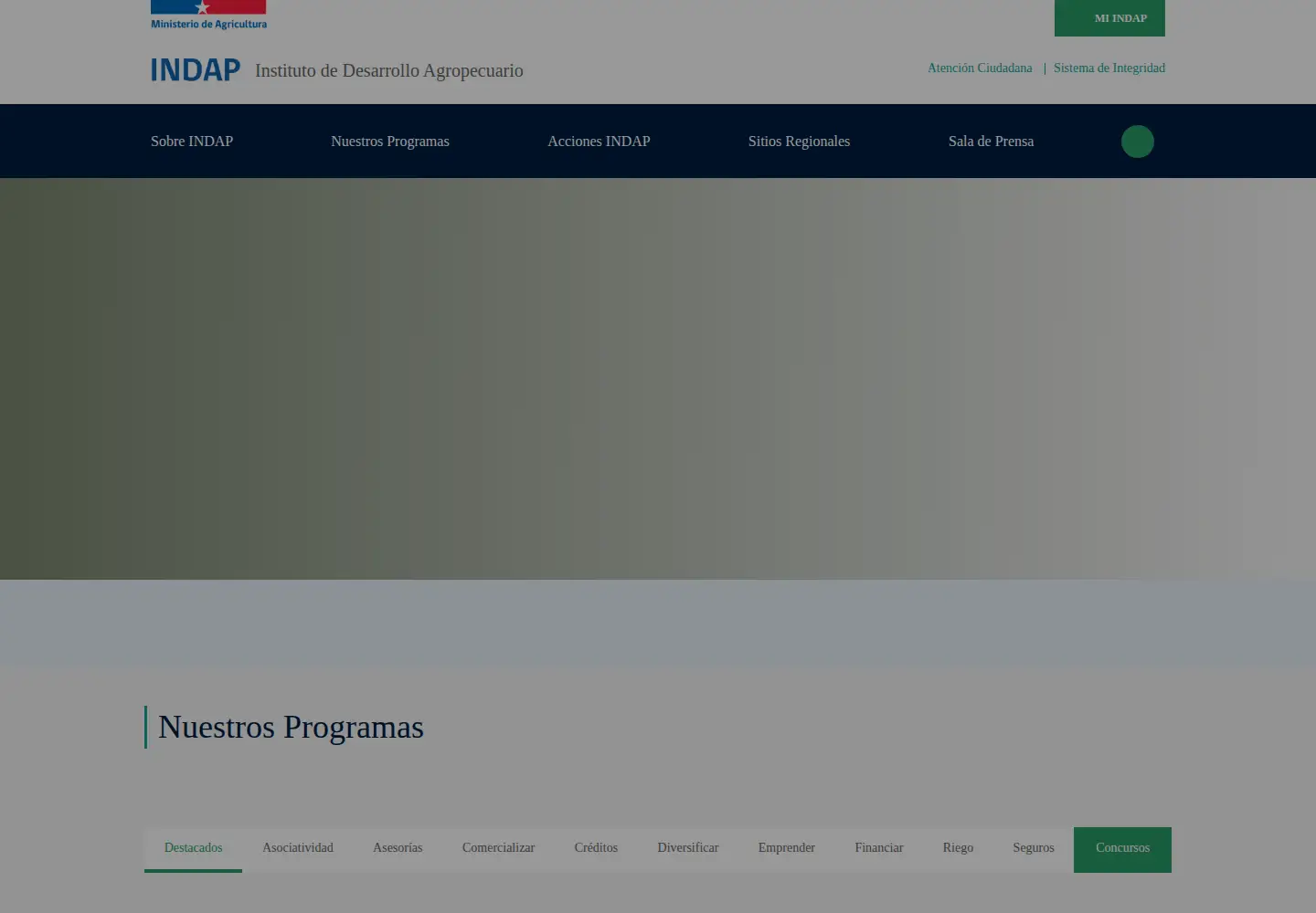 Screenshot of indap.gob.cl