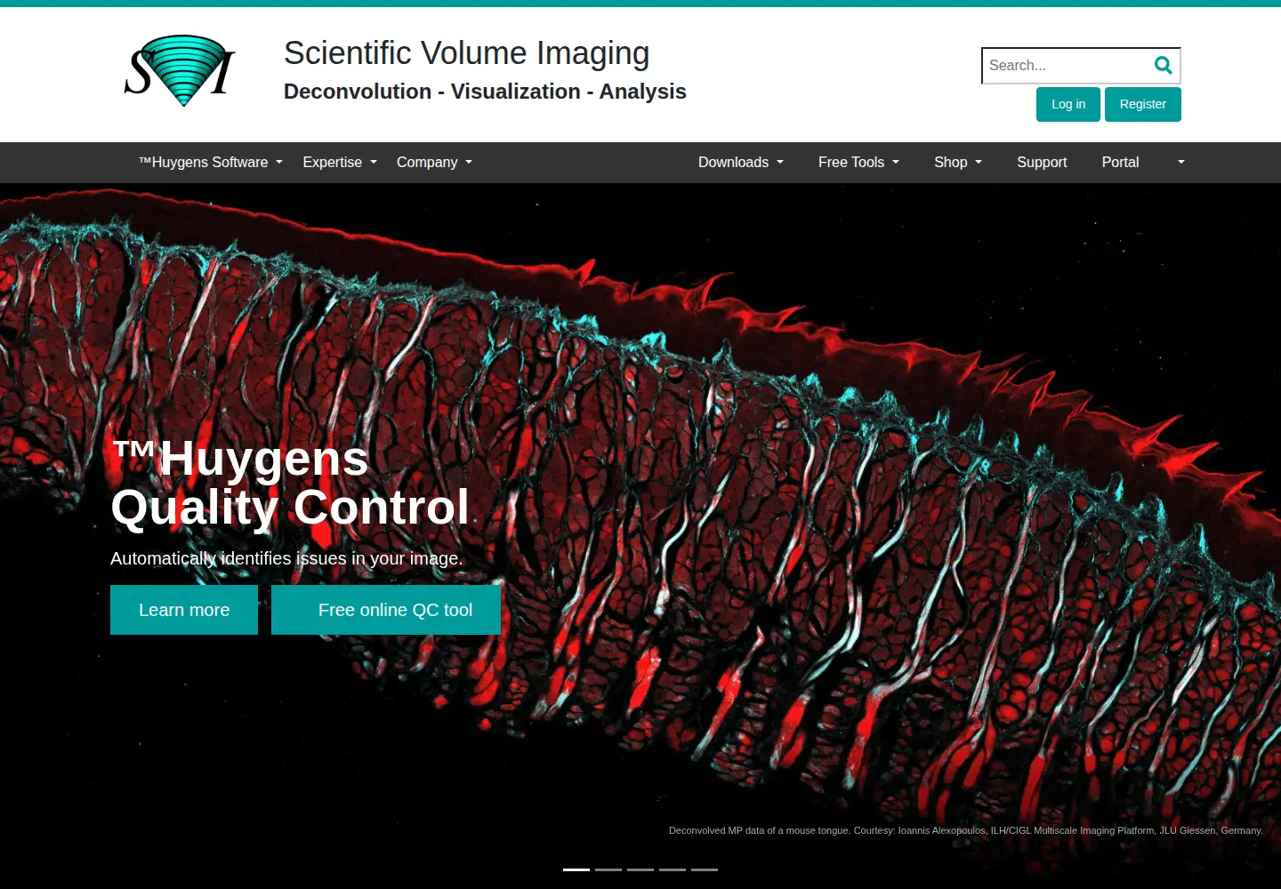 Screenshot of svi.nl