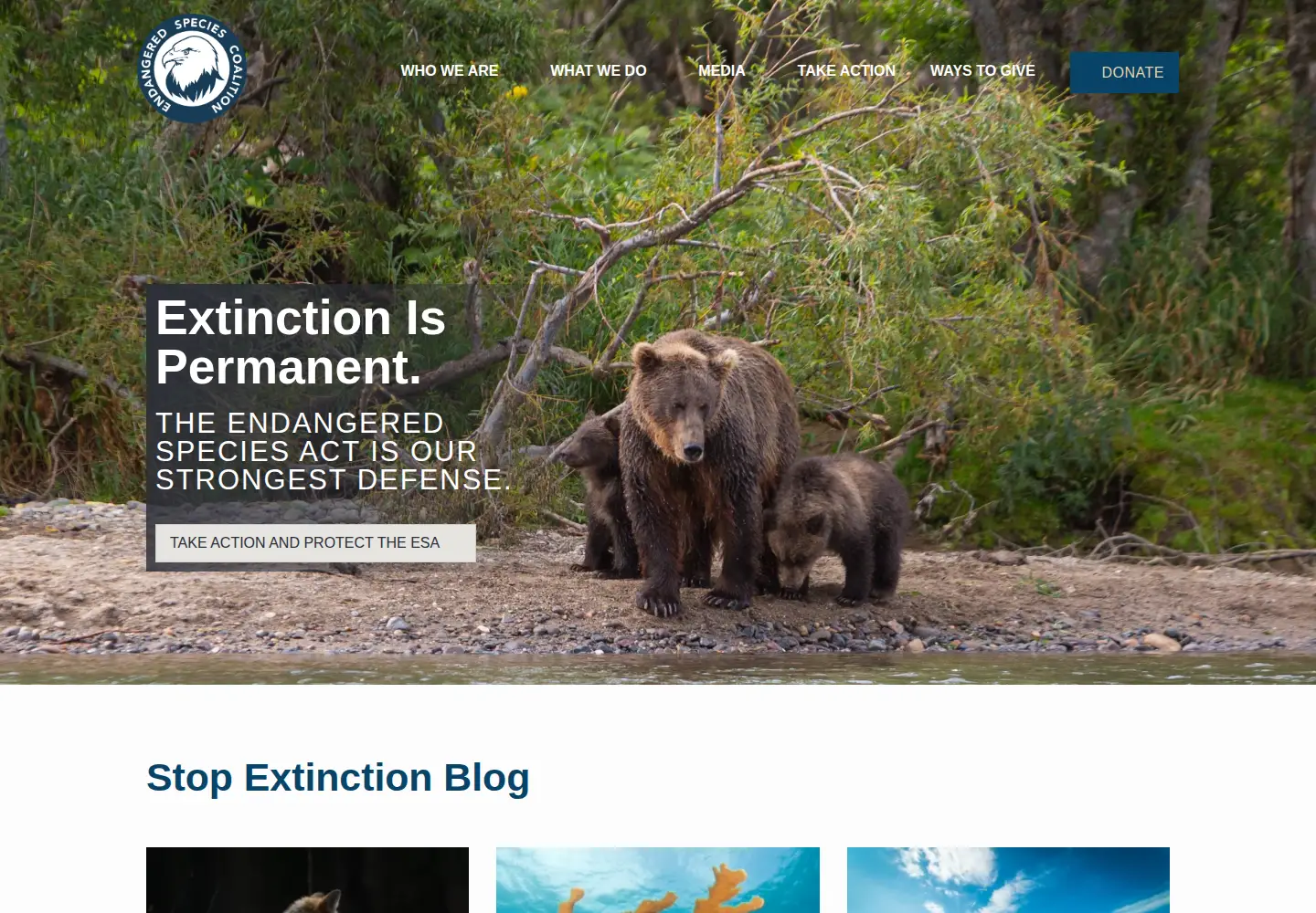 Screenshot of endangered.org