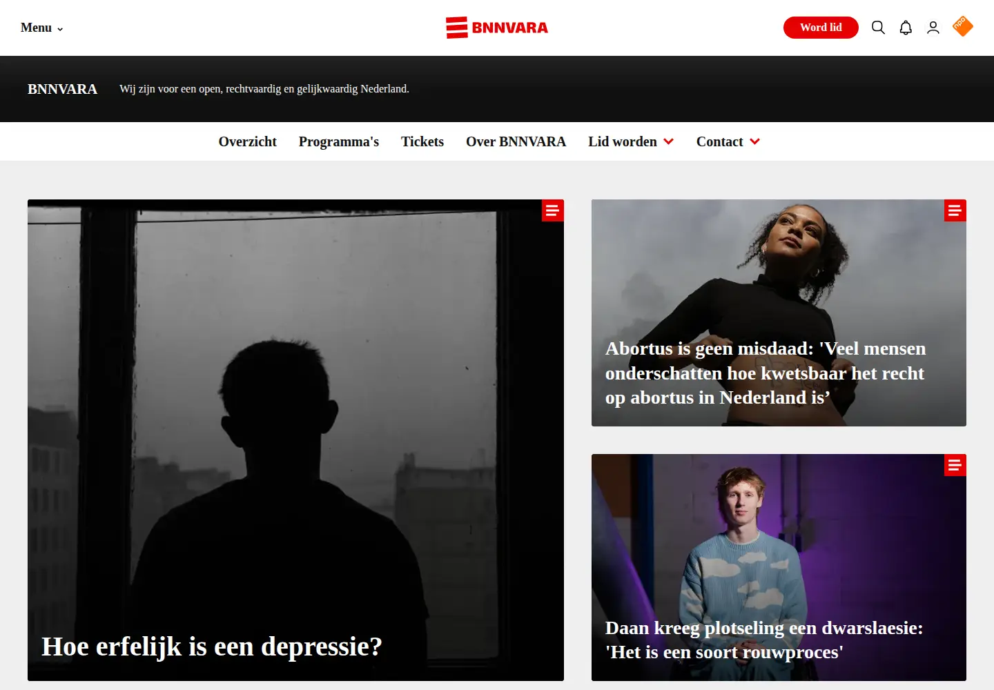 Screenshot of vara.nl