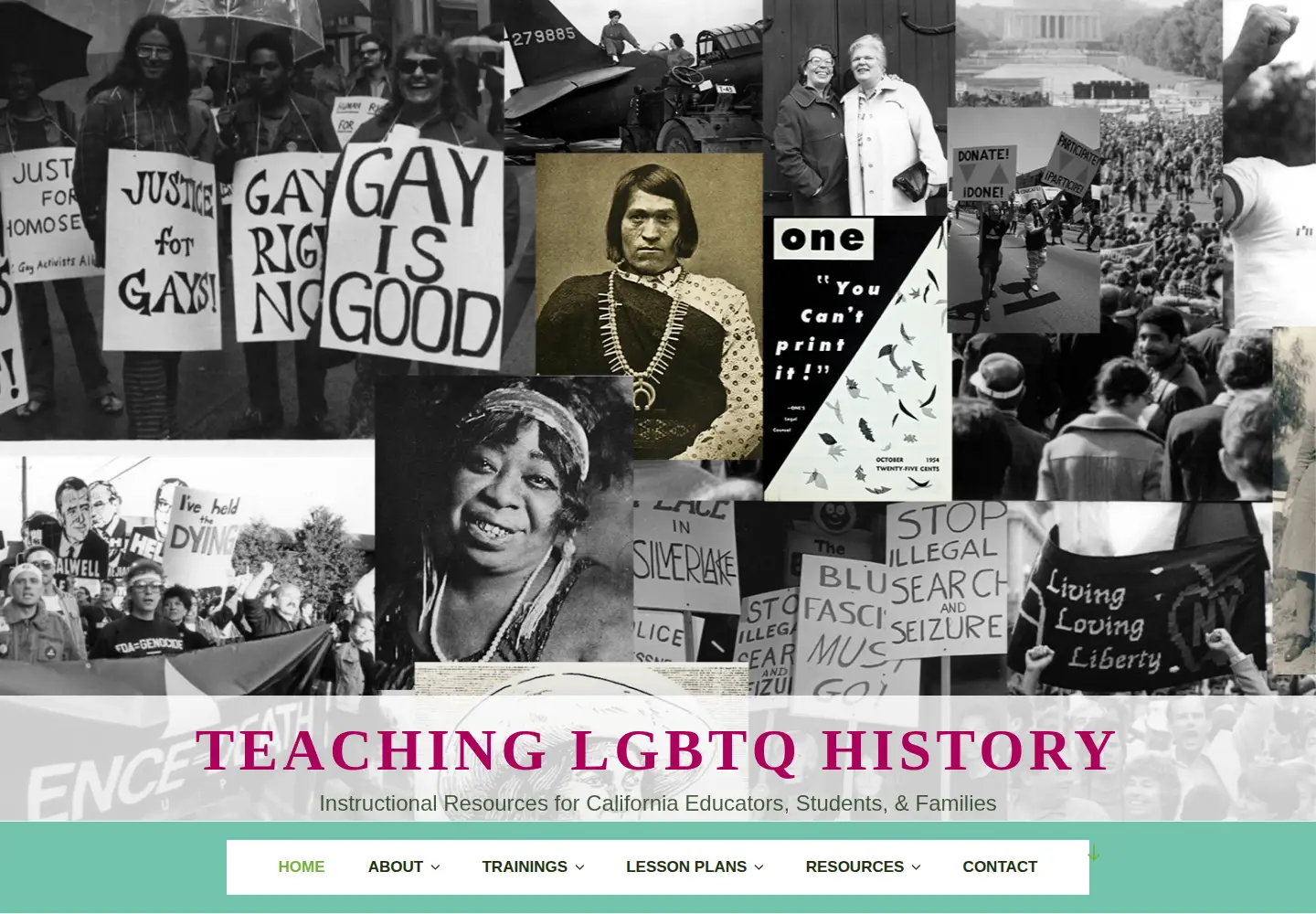 Screenshot of lgbtqhistory.org