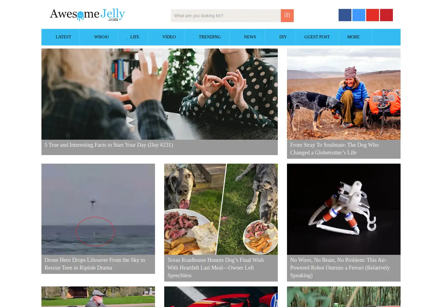 Screenshot of awesomejelly.com