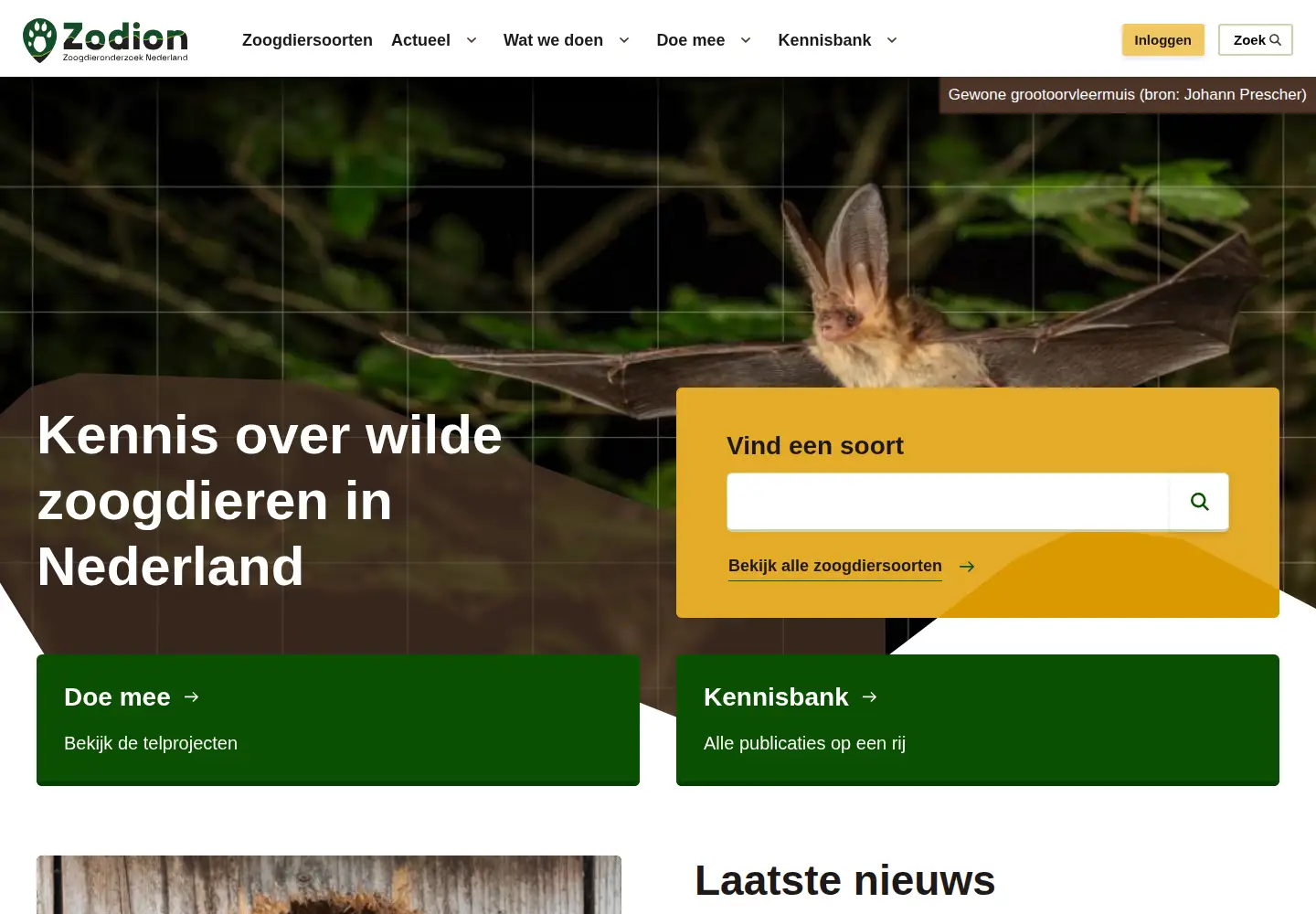 Screenshot of zoogdiervereniging.nl