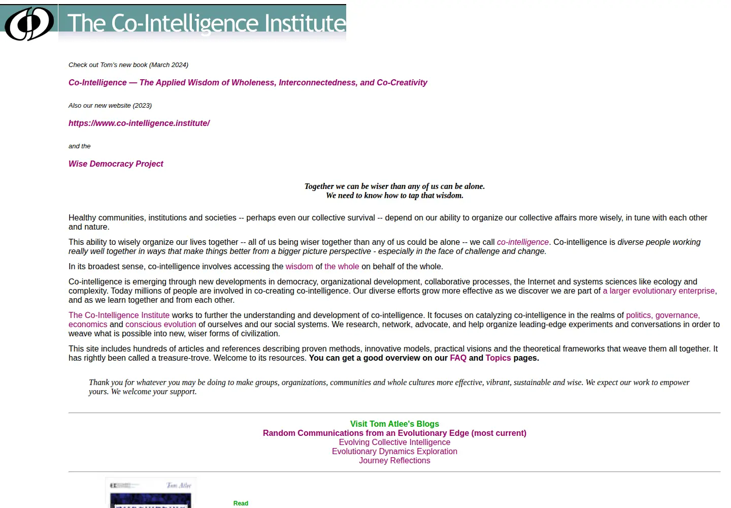 Screenshot of co-intelligence.org