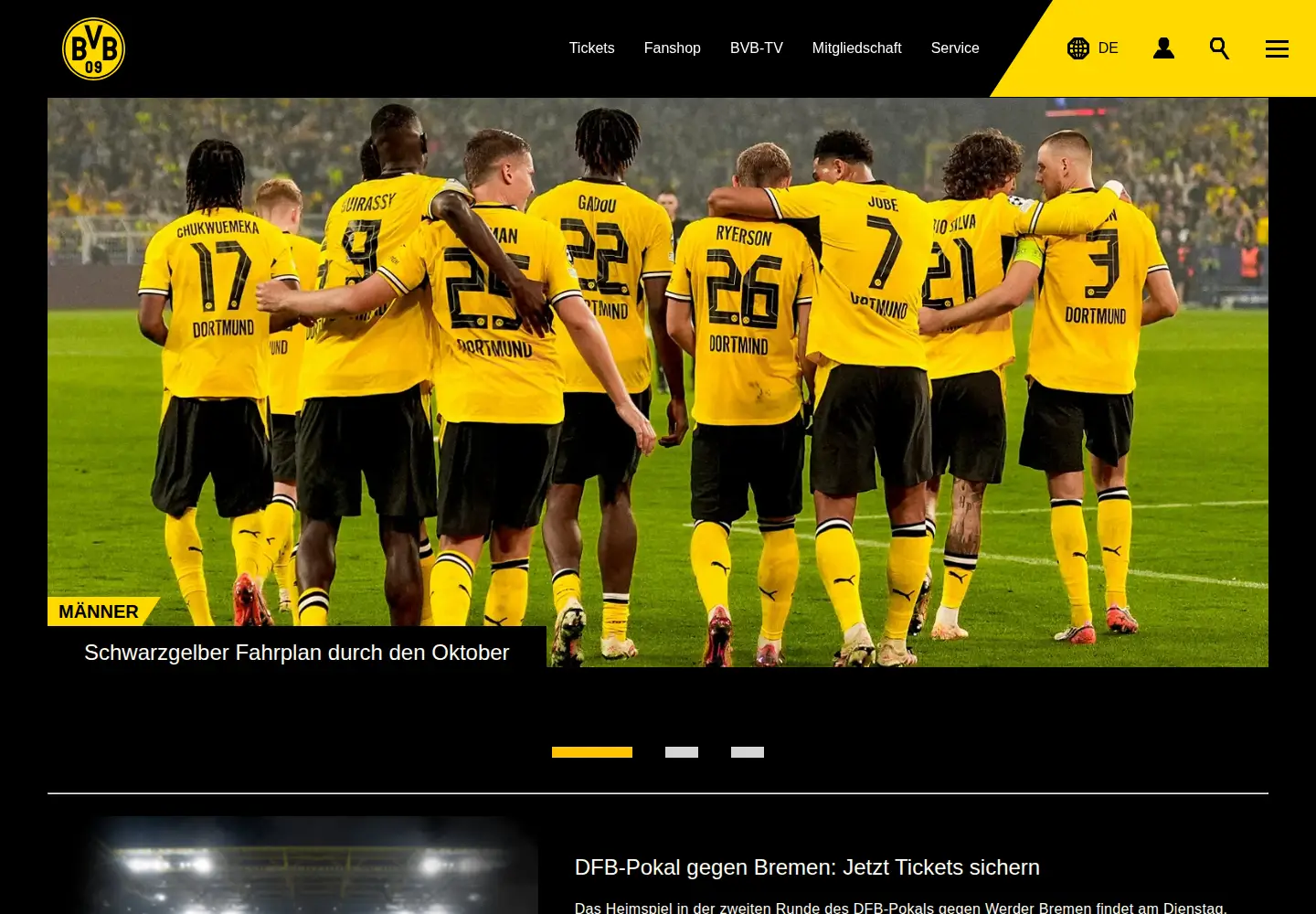 Screenshot of bvb.de