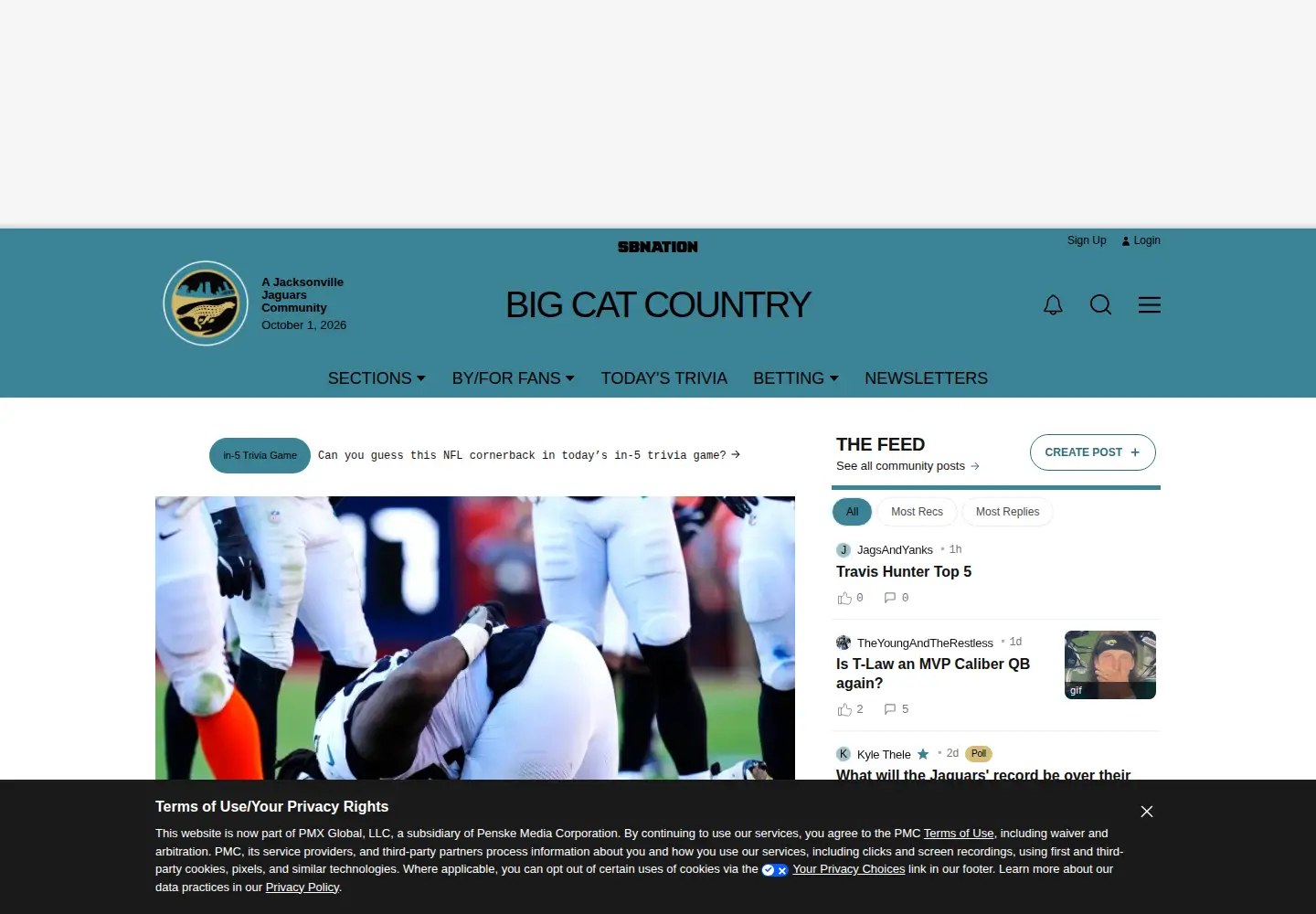 Screenshot of bigcatcountry.com