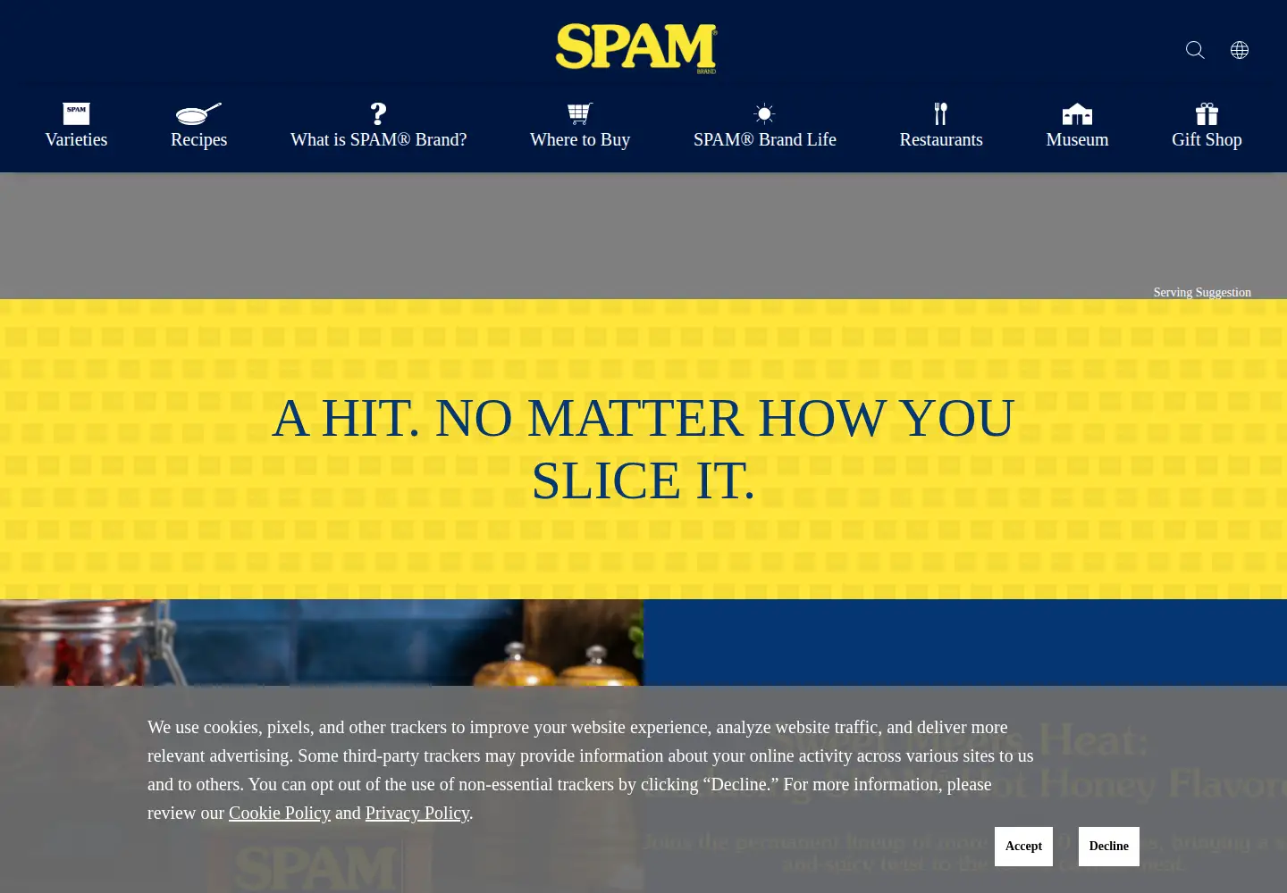 Screenshot of spam.com