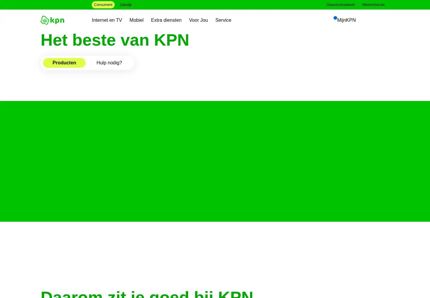 Screenshot of wxs.nl