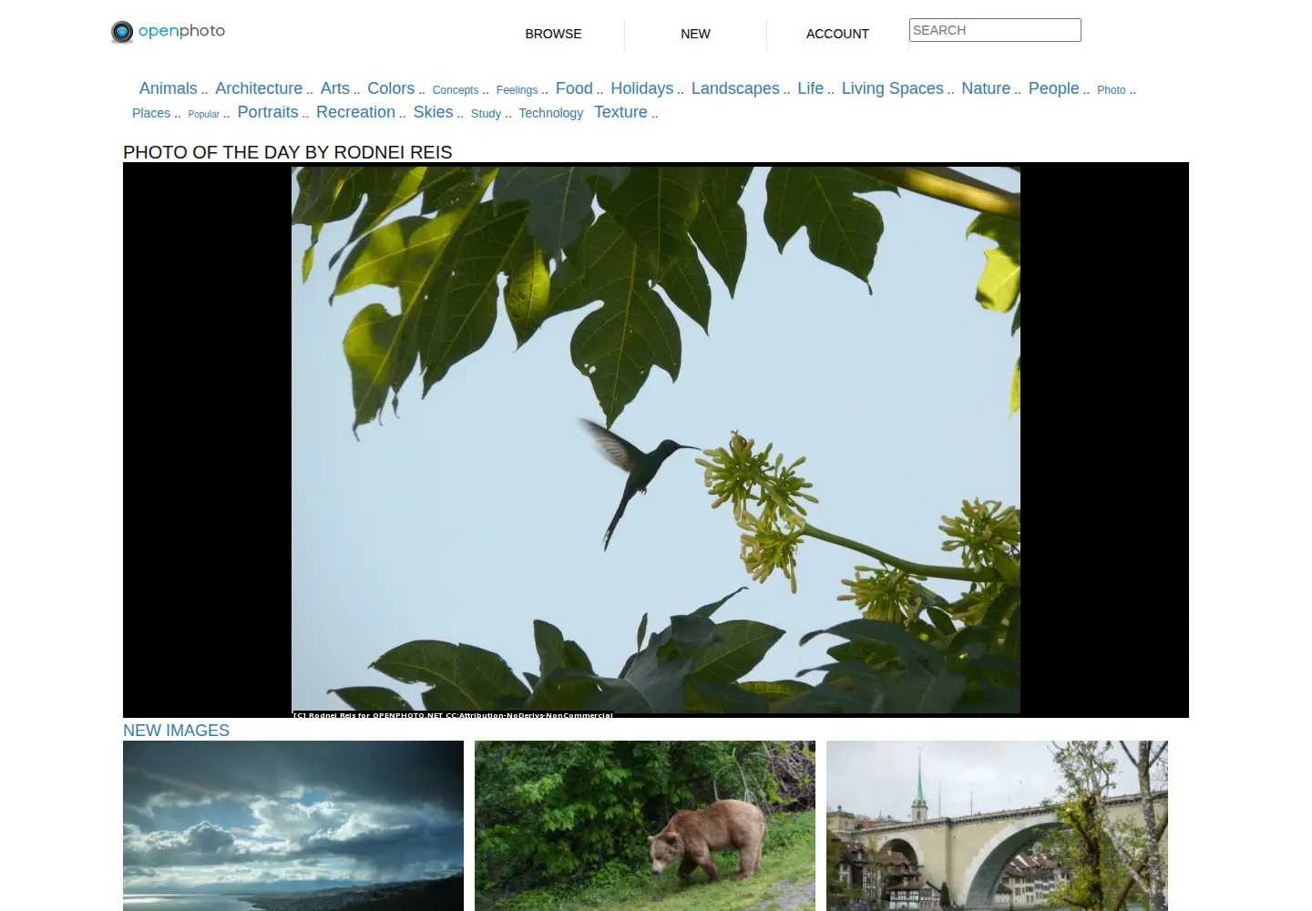 Screenshot of openphoto.net