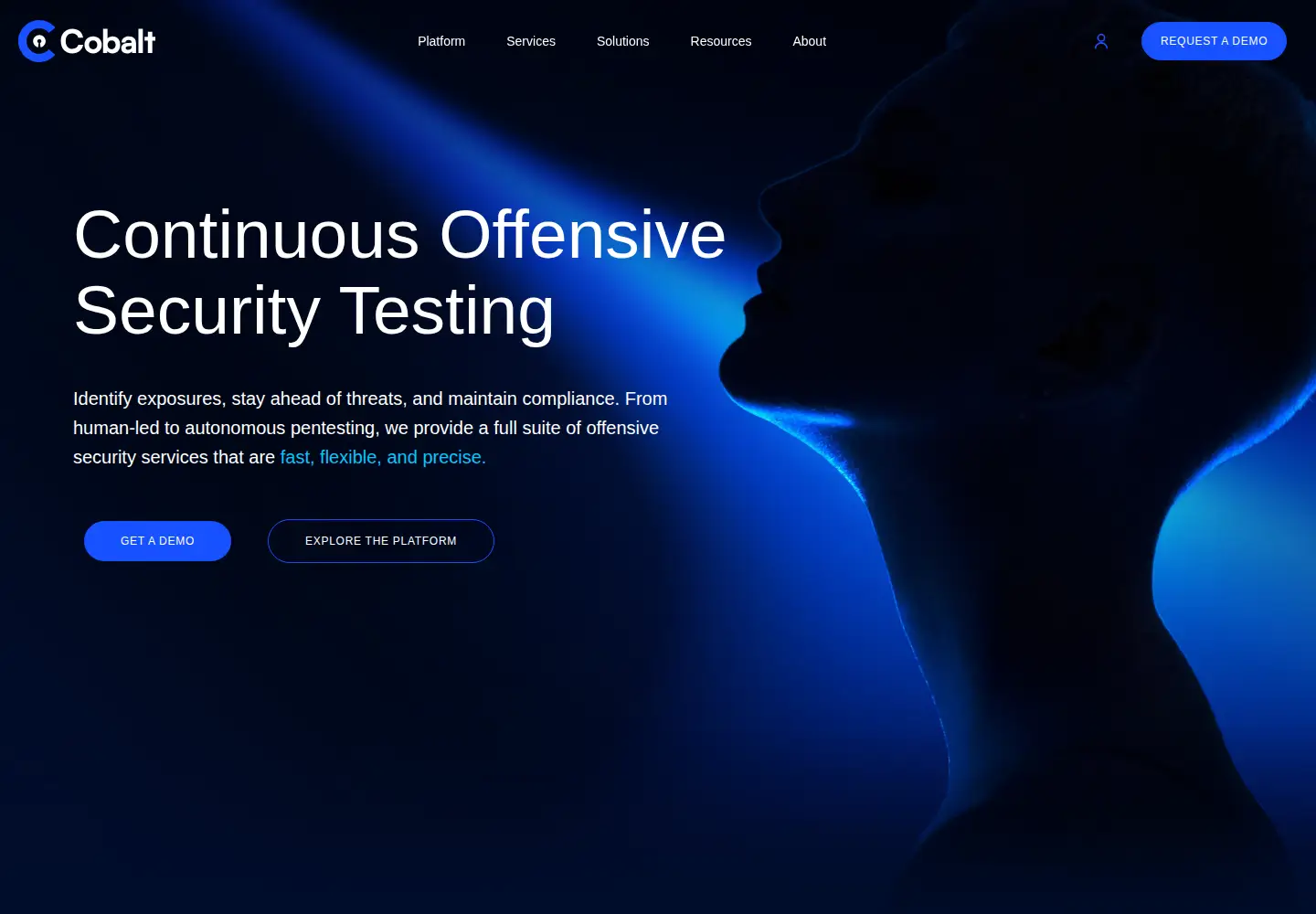 Screenshot of cobalt.io