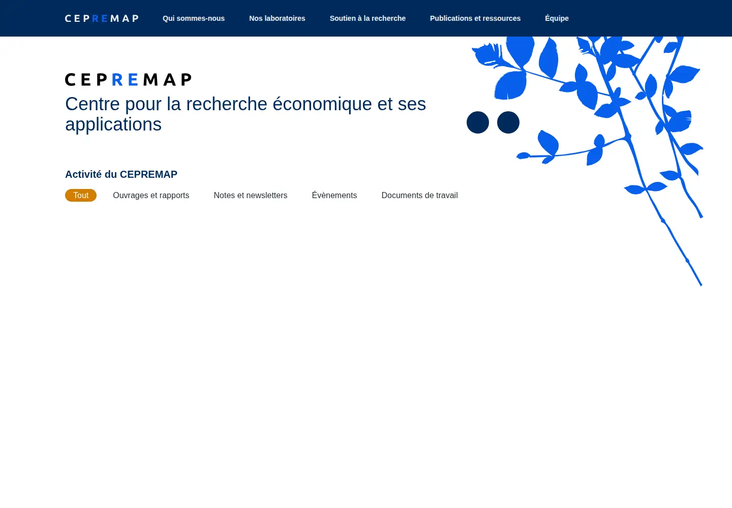 Screenshot of cepremap.fr