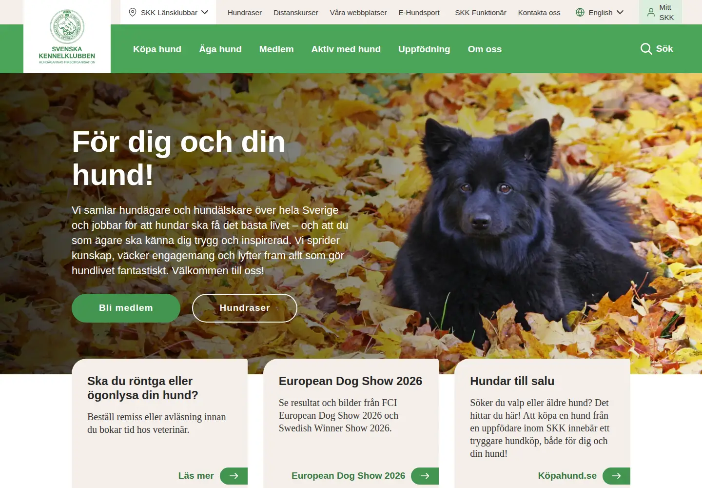 Screenshot of skk.se