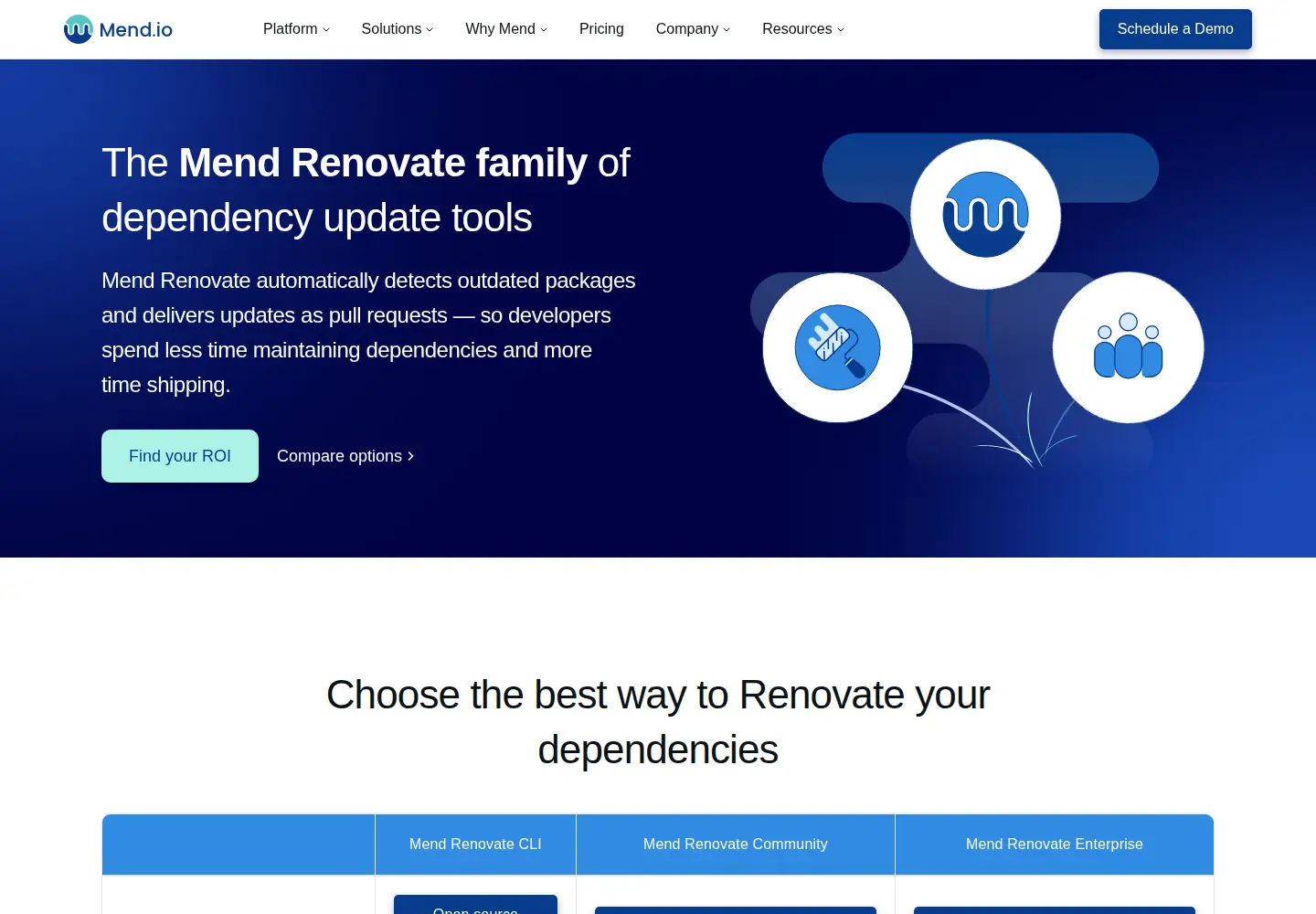 Screenshot of renovatebot.com