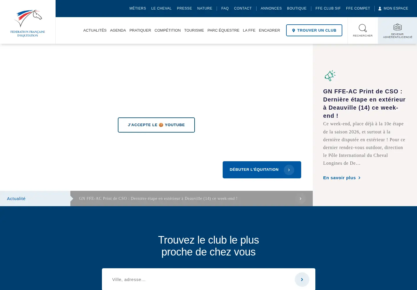 Screenshot of ffe.com